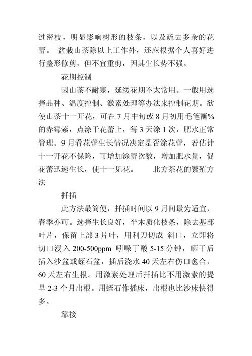 茶花冬天怎么养（茶花冬天怎么养护和浇水）-第3张图片-多多自然网