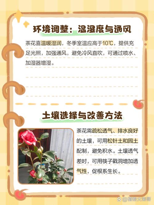 茶花冬天怎么养（茶花冬天怎么养护和浇水）-第7张图片-多多自然网