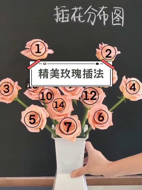 怎么让玫瑰开花(如何使玫瑰开花)-第6张图片-多多自然网 怎么让玫瑰开花(如何使玫瑰开花)-第6张图片-多多自然网