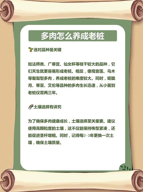 多肉如何养成老桩(多肉如何养出老桩)-第1张图片-多多自然网 多肉如何养成老桩(多肉如何养出老桩)-第1张图片-多多自然网