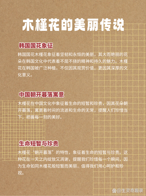 扶桑花怎么养(扶桑花怎么养才能开花)-第2张图片-多多自然网 扶桑花怎么养(扶桑花怎么养才能开花)-第2张图片-多多自然网