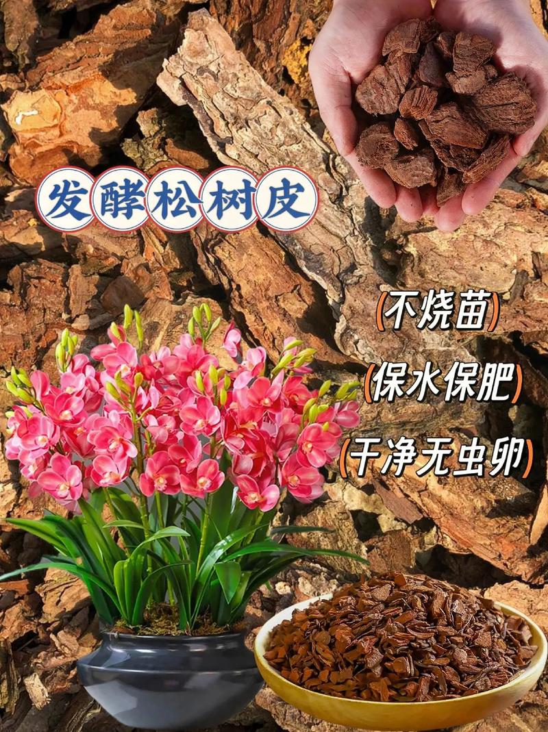 盆里放把松树皮(松树皮可以垫花盆吗)-第7张图片-多多自然网 盆里放把松树皮(松树皮可以垫花盆吗)-第7张图片-多多自然网