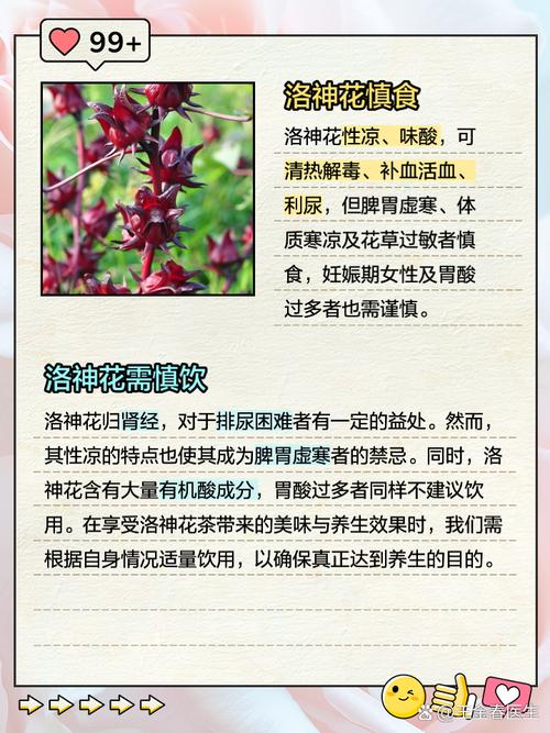 洛神葵的养殖方法及注意事项(洛神的养护方法)-第4张图片-多多自然网 洛神葵的养殖方法及注意事项(洛神的养护方法)-第4张图片-多多自然网
