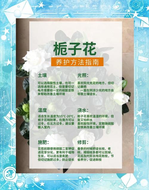 栀子花怎样开花多(栀子花怎样开的花才会多)-第6张图片-多多自然网 栀子花怎样开花多(栀子花怎样开的花才会多)-第6张图片-多多自然网