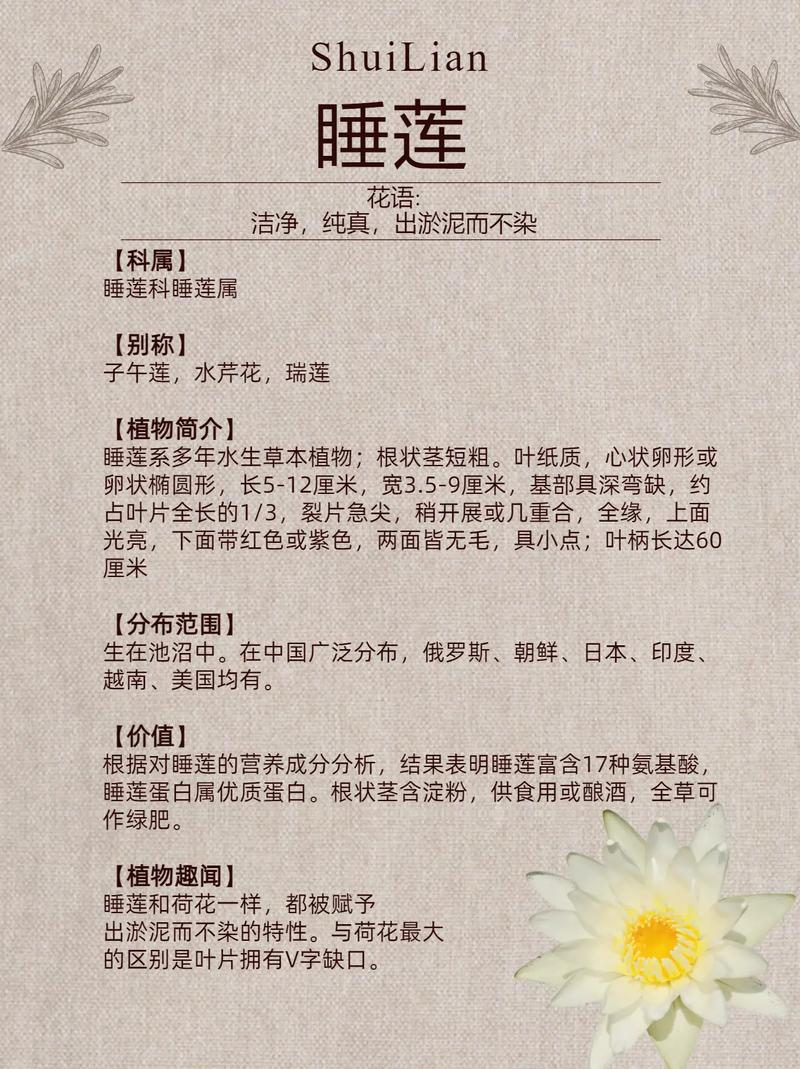 莲花的养殖方法和注意事项(莲花 家养)-第2张图片-多多自然网 莲花的养殖方法和注意事项(莲花 家养)-第2张图片-多多自然网