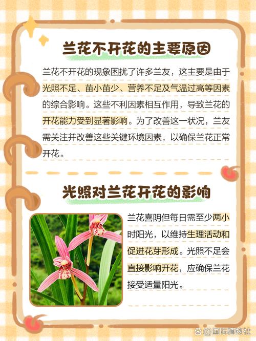 养了这么多年花(养了这么多年花 第一次全开了 给我惊艳与感动)-第7张图片-多多自然网 养了这么多年花(养了这么多年花 第一次全开了 给我惊艳与感动)-第7张图片-多多自然网