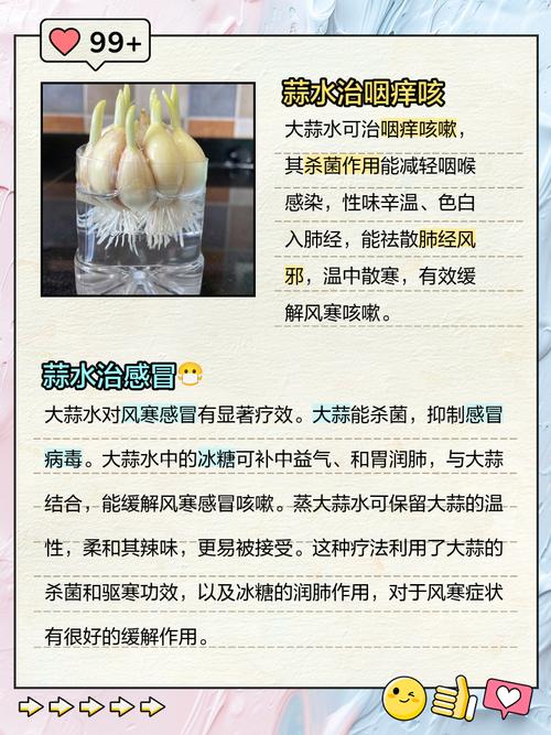 水养大蒜要每天换水吗(水养大蒜要每天换水吗为什么)-第5张图片-多多自然网 水养大蒜要每天换水吗(水养大蒜要每天换水吗为什么)-第5张图片-多多自然网