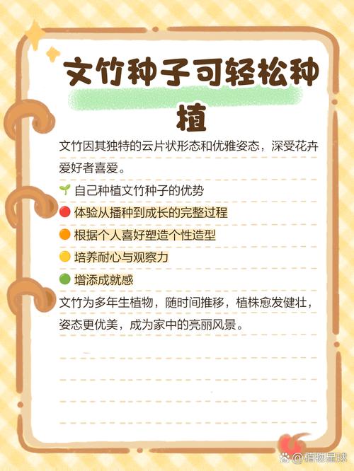 文竹种子怎么种(文竹种子怎么种土里不发芽呀)-第3张图片-多多自然网 文竹种子怎么种(文竹种子怎么种土里不发芽呀)-第3张图片-多多自然网