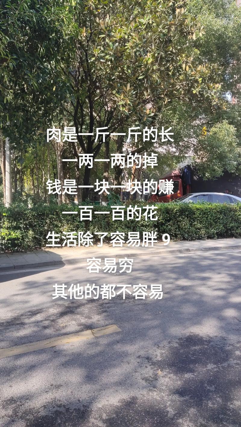 一见多肉误终生(多肉轻轻一碰就掉叶子)-第3张图片-多多自然网 一见多肉误终生(多肉轻轻一碰就掉叶子)-第3张图片-多多自然网