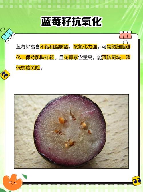 蓝莓种子怎么种(蓝莓种子怎么种植和养护)-第4张图片-多多自然网 蓝莓种子怎么种(蓝莓种子怎么种植和养护)-第4张图片-多多自然网