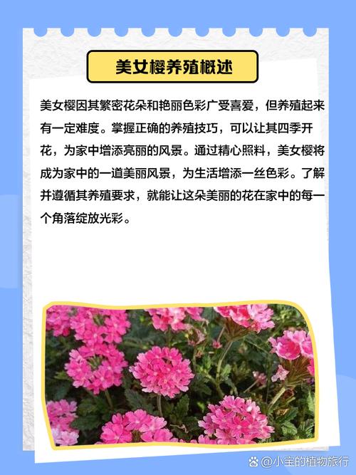 如何延长美女樱的花期(美女樱如何催芽)-第6张图片-多多自然网 如何延长美女樱的花期(美女樱如何催芽)-第6张图片-多多自然网