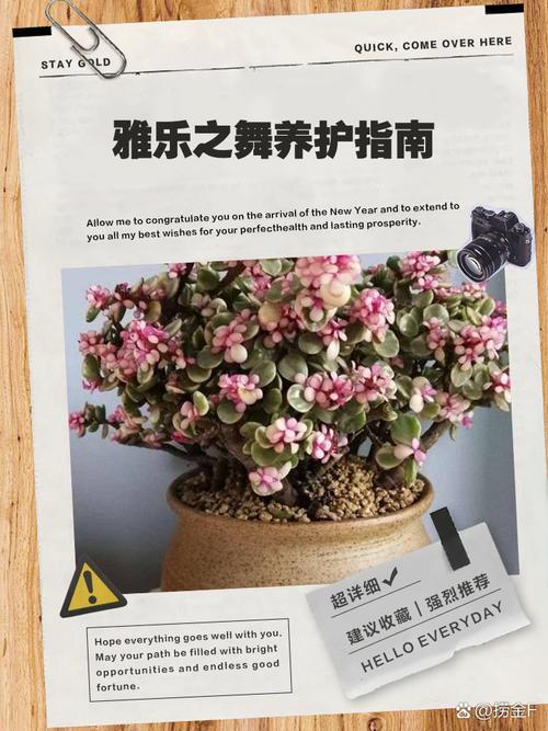 雅乐之舞的养殖方法和注意事项(雅乐之舞怎么养)-第1张图片-多多自然网 雅乐之舞的养殖方法和注意事项(雅乐之舞怎么养)-第1张图片-多多自然网