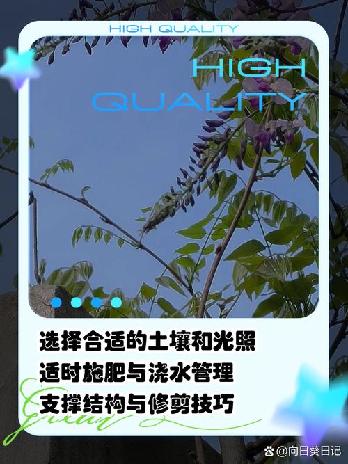 紫藤秋天怎么养(紫藤树秋天还能栽活吗?)-第2张图片-多多自然网 紫藤秋天怎么养(紫藤树秋天还能栽活吗?)-第2张图片-多多自然网