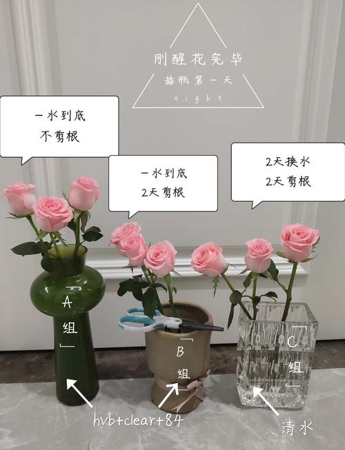 秋天给“月季”换个盆(夏天给月季换盆)-第1张图片-多多自然网 秋天给“月季”换个盆(夏天给月季换盆)-第1张图片-多多自然网