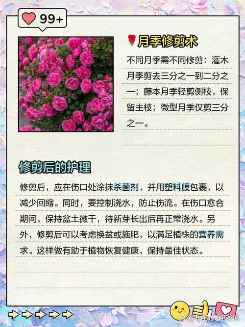 月季花冬季怎么修剪(月季花冬季怎么修剪图解)-第4张图片-多多自然网 月季花冬季怎么修剪(月季花冬季怎么修剪图解)-第4张图片-多多自然网