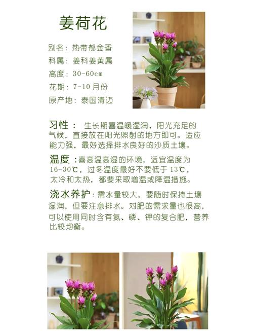 这花入秋就变开花机器(秋天开花的说说唯美的句子)-第2张图片-多多自然网 这花入秋就变开花机器(秋天开花的说说唯美的句子)-第2张图片-多多自然网