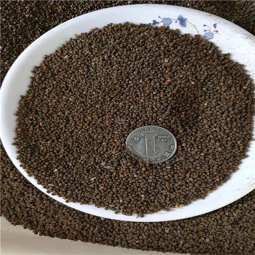 醉蝶花种子怎么种(醉蝶花种子种植时间)-第3张图片-多多自然网 醉蝶花种子怎么种(醉蝶花种子种植时间)-第3张图片-多多自然网