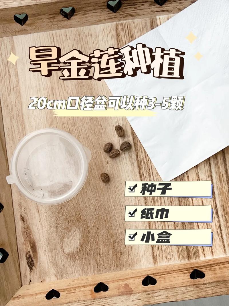 金莲花种子怎么种(金莲花怎么种植养殖方法 新闻)-第1张图片-多多自然网 金莲花种子怎么种(金莲花怎么种植养殖方法 新闻)-第1张图片-多多自然网