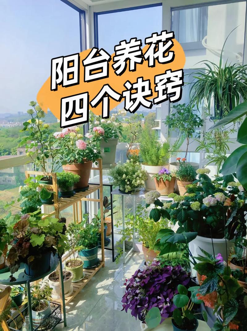 独占春冬天养殖的禁忌(独占春多少钱一苗)-第6张图片-多多自然网 独占春冬天养殖的禁忌(独占春多少钱一苗)-第6张图片-多多自然网
