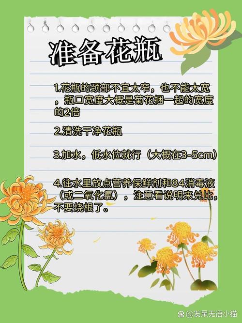 菊花春天怎么养(菊花春天养护注意事项)-第1张图片-多多自然网 菊花春天怎么养(菊花春天养护注意事项)-第1张图片-多多自然网