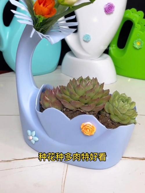 洗衣液桶用完别丢（洗衣液的桶可以卖钱吗）-第5张图片-多多自然网