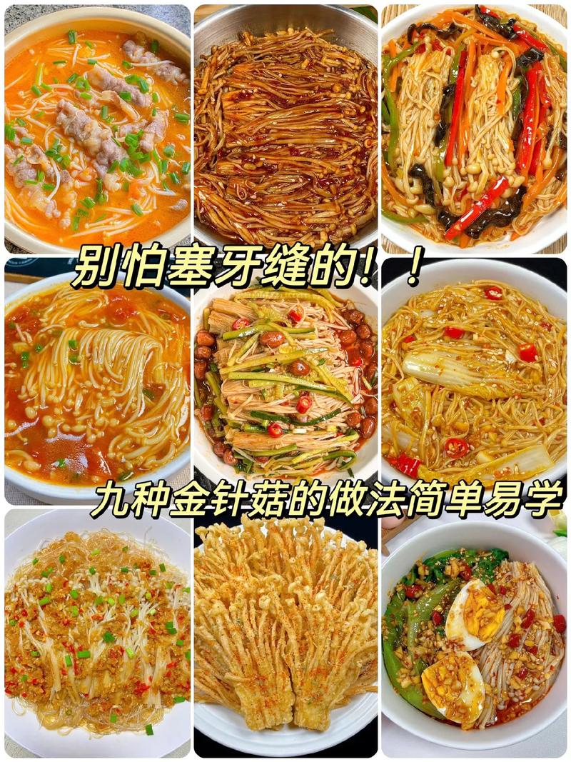 家里怎么种金针菇(家里怎么种金针菇苗)-第2张图片-多多自然网 家里怎么种金针菇(家里怎么种金针菇苗)-第2张图片-多多自然网