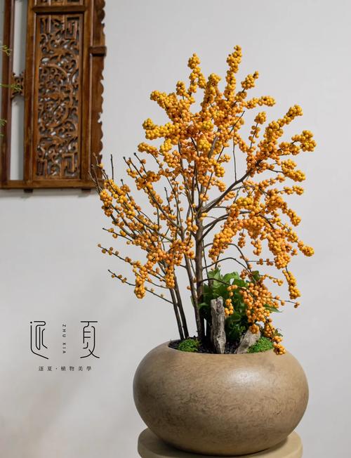 北美冬青插花怎么养(北美冬青插花怎么养护)-第2张图片-多多自然网 北美冬青插花怎么养(北美冬青插花怎么养护)-第2张图片-多多自然网