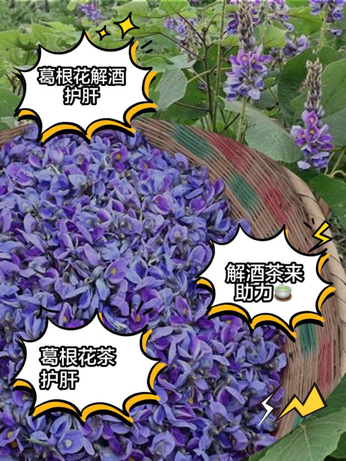 葛花的繁殖方式(葛花的繁殖方式是什么)-第4张图片-多多自然网 葛花的繁殖方式(葛花的繁殖方式是什么)-第4张图片-多多自然网