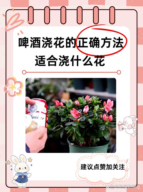 早晚浇花哪个好(浇花一般是早上浇水还是晚上浇水)-第1张图片-多多自然网 早晚浇花哪个好(浇花一般是早上浇水还是晚上浇水)-第1张图片-多多自然网