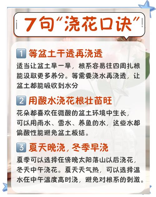 早晚浇花哪个好(浇花一般是早上浇水还是晚上浇水)-第2张图片-多多自然网 早晚浇花哪个好(浇花一般是早上浇水还是晚上浇水)-第2张图片-多多自然网