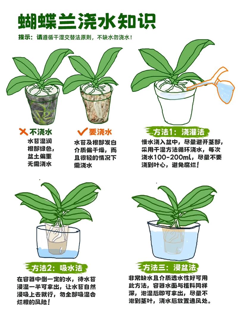 早晚浇花哪个好(浇花一般是早上浇水还是晚上浇水)-第4张图片-多多自然网 早晚浇花哪个好(浇花一般是早上浇水还是晚上浇水)-第4张图片-多多自然网