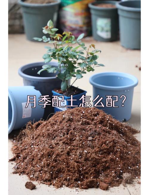 网上传的“浇花水”(浇花的水有毒吗)-第6张图片-多多自然网 网上传的“浇花水”(浇花的水有毒吗)-第6张图片-多多自然网