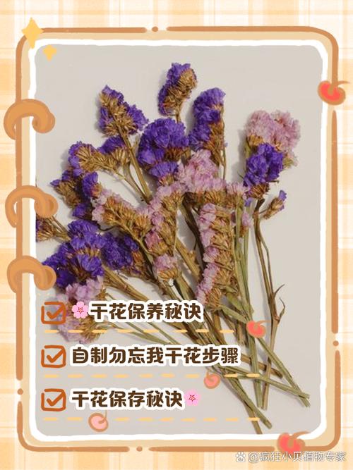 勿忘我怎么做干花(勿忘我怎么做干花花束)-第2张图片-多多自然网 勿忘我怎么做干花(勿忘我怎么做干花花束)-第2张图片-多多自然网