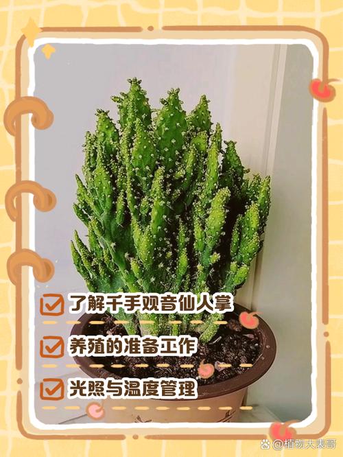 仙人棒怎么养（仙人棒怎么养好看）-第1张图片-多多自然网