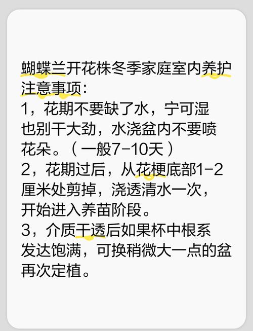 春兰冬天养殖的禁忌(春兰冬天怎么养才能过冬)-第4张图片-多多自然网 春兰冬天养殖的禁忌(春兰冬天怎么养才能过冬)-第4张图片-多多自然网