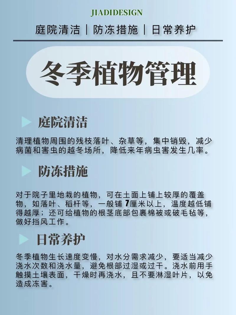 春兰冬天养殖的禁忌(春兰冬天怎么养才能过冬)-第6张图片-多多自然网 春兰冬天养殖的禁忌(春兰冬天怎么养才能过冬)-第6张图片-多多自然网