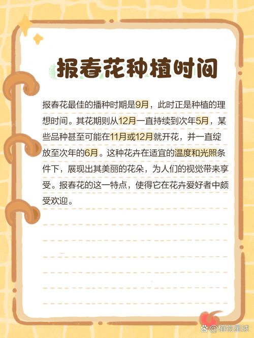 报春花怎么种（报春花怎么种好看）-第6张图片-多多自然网