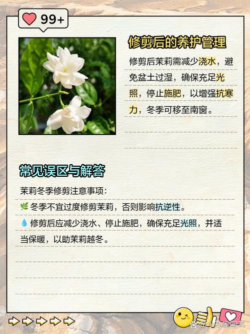茉莉花冬天需要剪枝吗（冬季茉莉花需要剪枝吗）-第3张图片-多多自然网