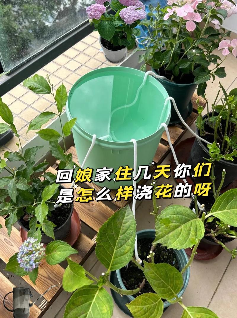 万能浇水神器（浇水神器哪个牌子好）-第5张图片-多多自然网