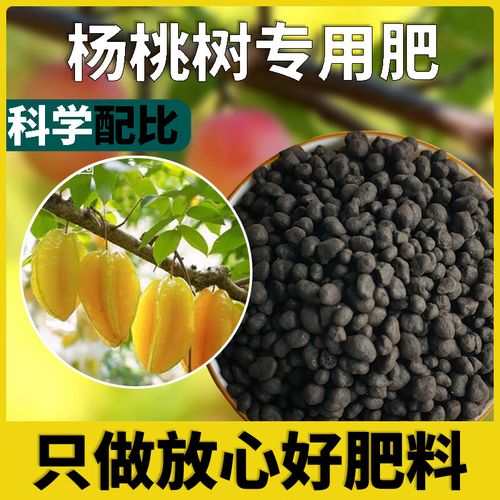 阳桃怎么施肥(阳桃属于蔷薇科吗)-第4张图片-多多自然网 阳桃怎么施肥(阳桃属于蔷薇科吗)-第4张图片-多多自然网