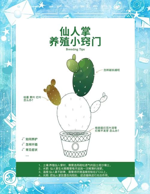 仙人掌怎么养长得快(仙人掌要怎么样养)-第7张图片-多多自然网 仙人掌怎么养长得快(仙人掌要怎么样养)-第7张图片-多多自然网