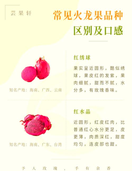 火龙果什么时候成熟(海南火龙果什么时候成熟)-第2张图片-多多自然网 火龙果什么时候成熟(海南火龙果什么时候成熟)-第2张图片-多多自然网