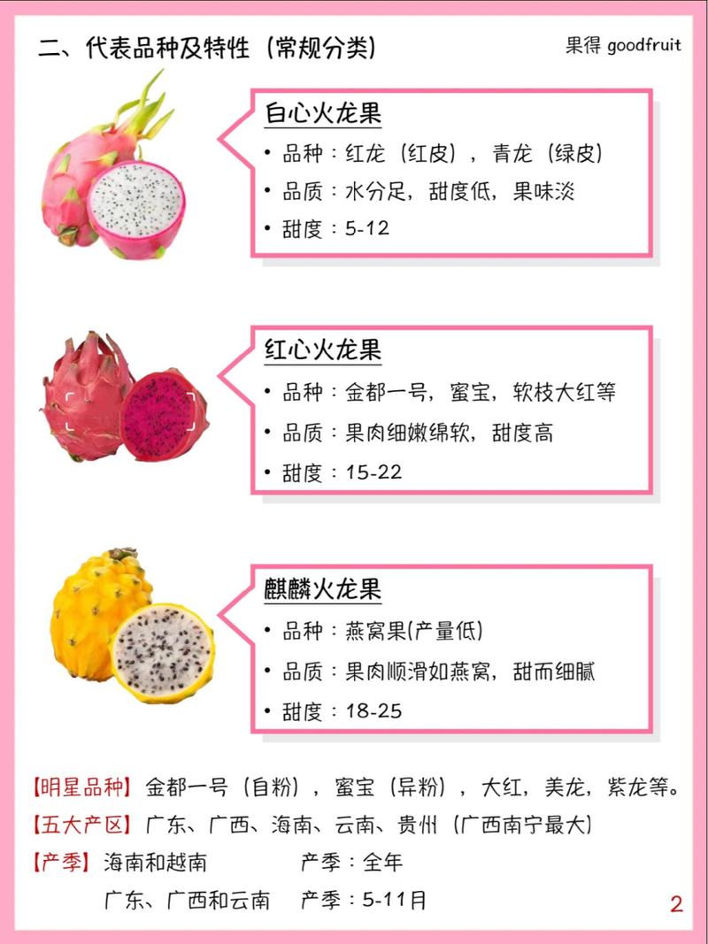 火龙果什么时候成熟(海南火龙果什么时候成熟)-第4张图片-多多自然网 火龙果什么时候成熟(海南火龙果什么时候成熟)-第4张图片-多多自然网