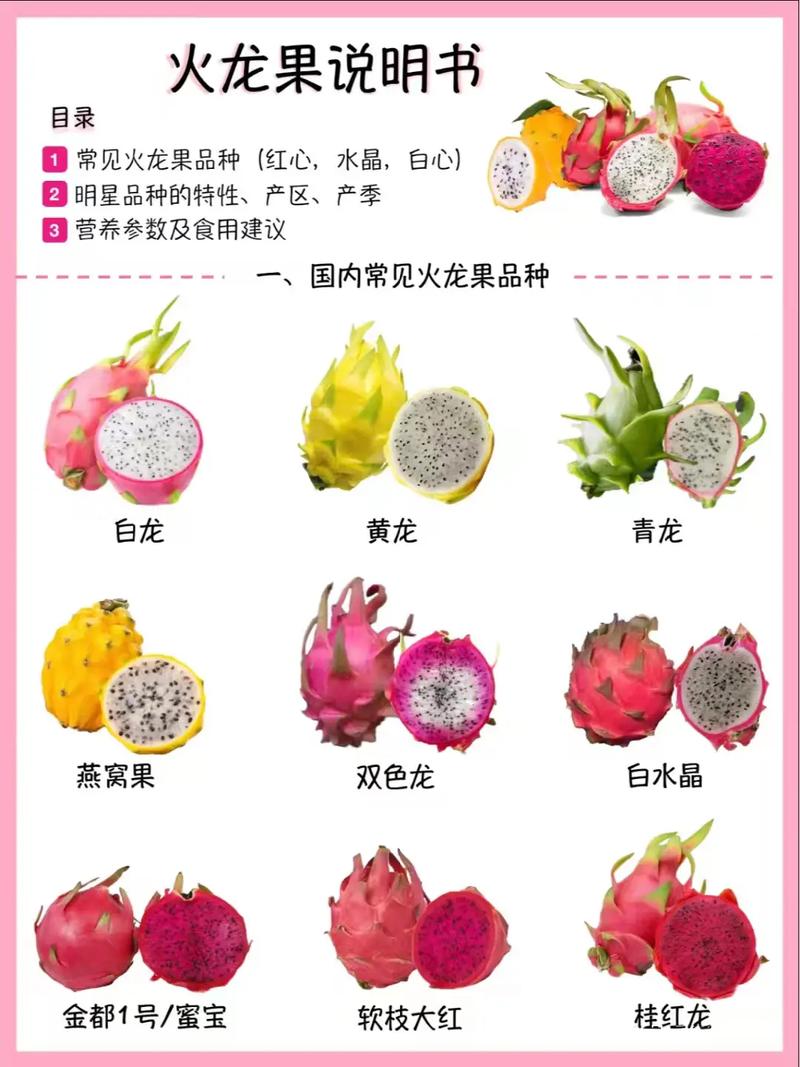 火龙果什么时候成熟(海南火龙果什么时候成熟)-第5张图片-多多自然网 火龙果什么时候成熟(海南火龙果什么时候成熟)-第5张图片-多多自然网