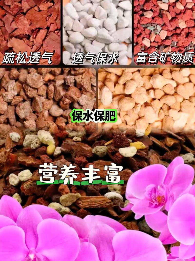 兰花用什么土栽培比较好(兰花用什么土栽培比较好多久浇水)-第1张图片-多多自然网 兰花用什么土栽培比较好(兰花用什么土栽培比较好多久浇水)-第1张图片-多多自然网