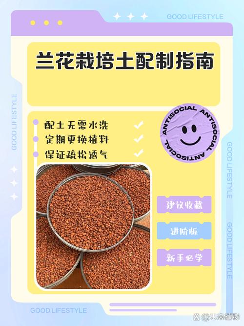 兰花用什么土栽培比较好(兰花用什么土栽培比较好多久浇水)-第3张图片-多多自然网 兰花用什么土栽培比较好(兰花用什么土栽培比较好多久浇水)-第3张图片-多多自然网