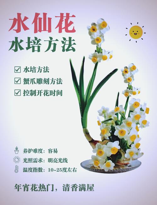 怎么样让水仙花叶子打卷(水仙花叶子太长倒下了怎么剪)-第2张图片-多多自然网 怎么样让水仙花叶子打卷(水仙花叶子太长倒下了怎么剪)-第2张图片-多多自然网