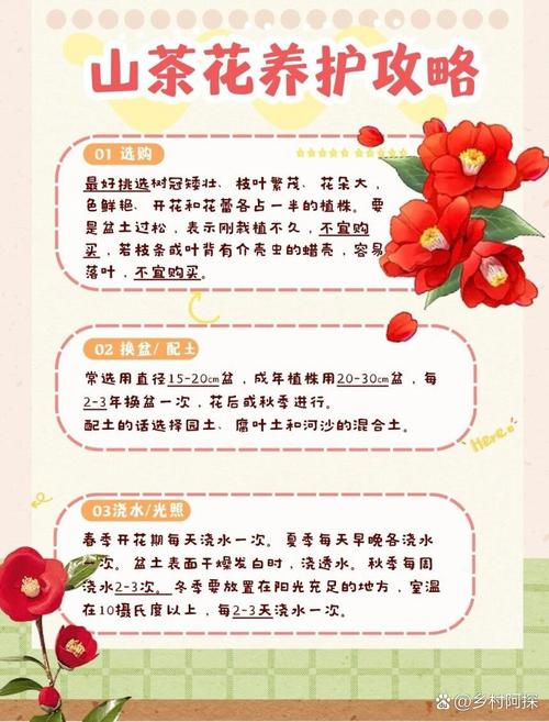 小茶花怎么养殖（茶花怎么养殖方法和注意）-第2张图片-多多自然网